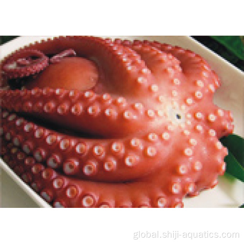 China Frozen Poulp Squid Manufactory